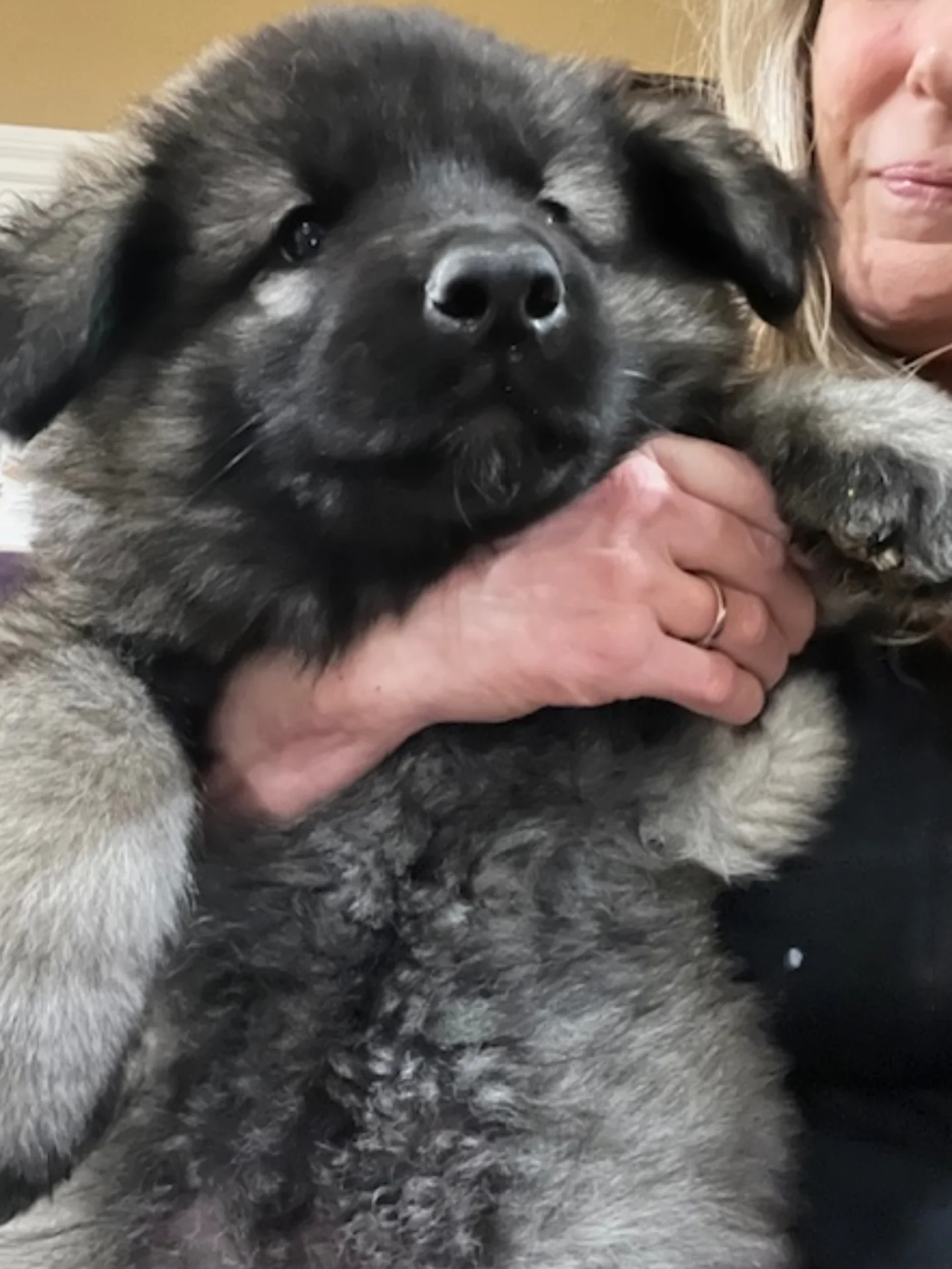 A woman holding onto a dog with its head on her chest.