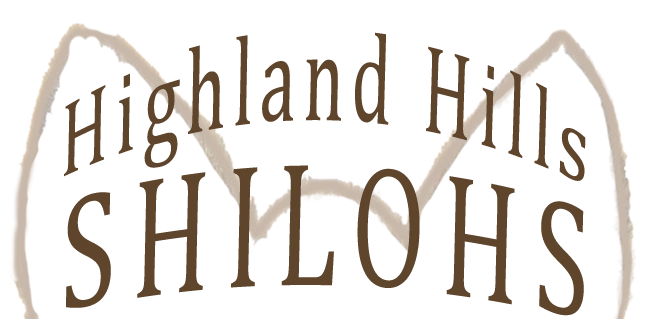 A green background with brown letters that say highland hills hilo.
