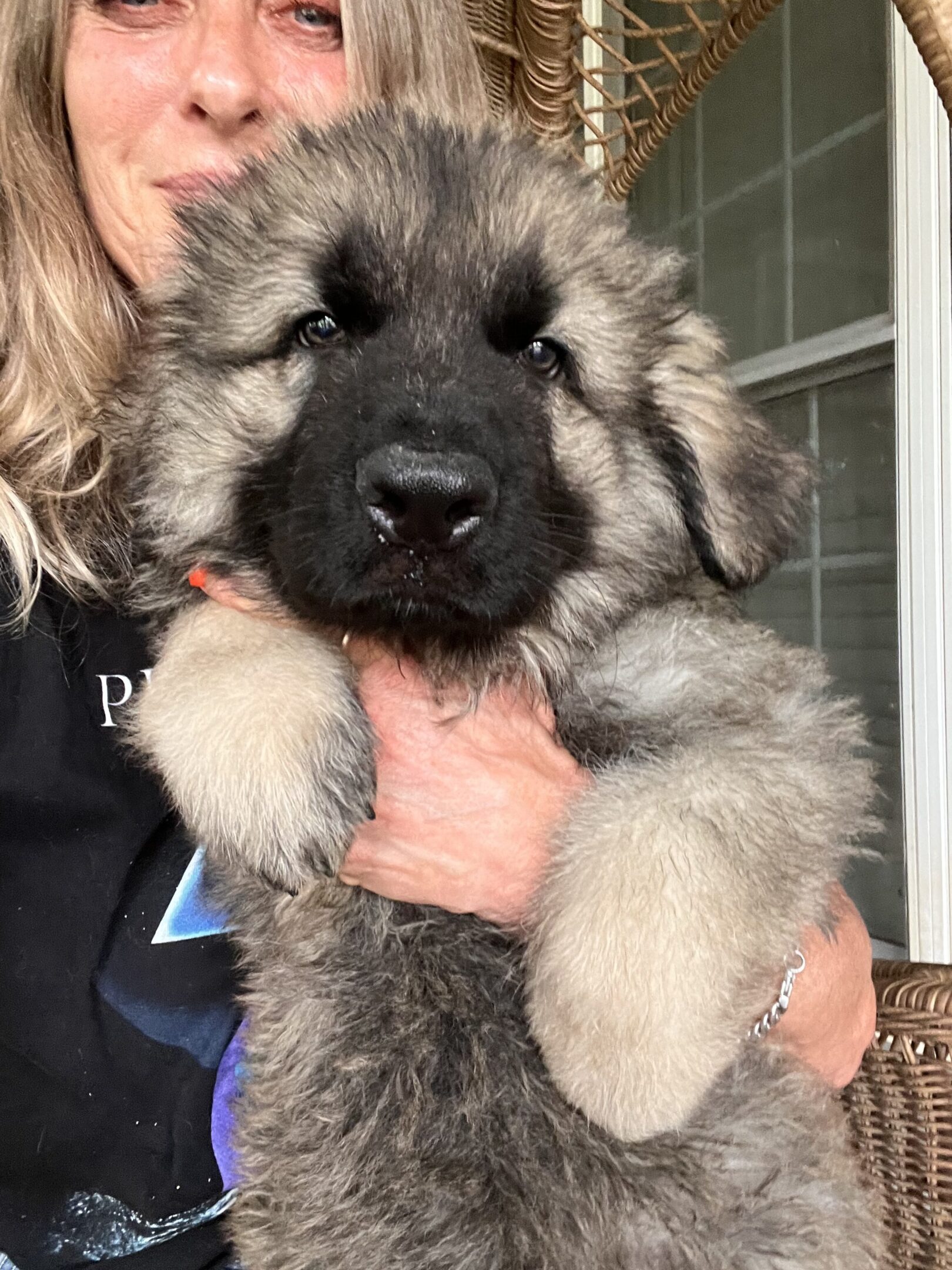 A person holding a puppy in their arms.