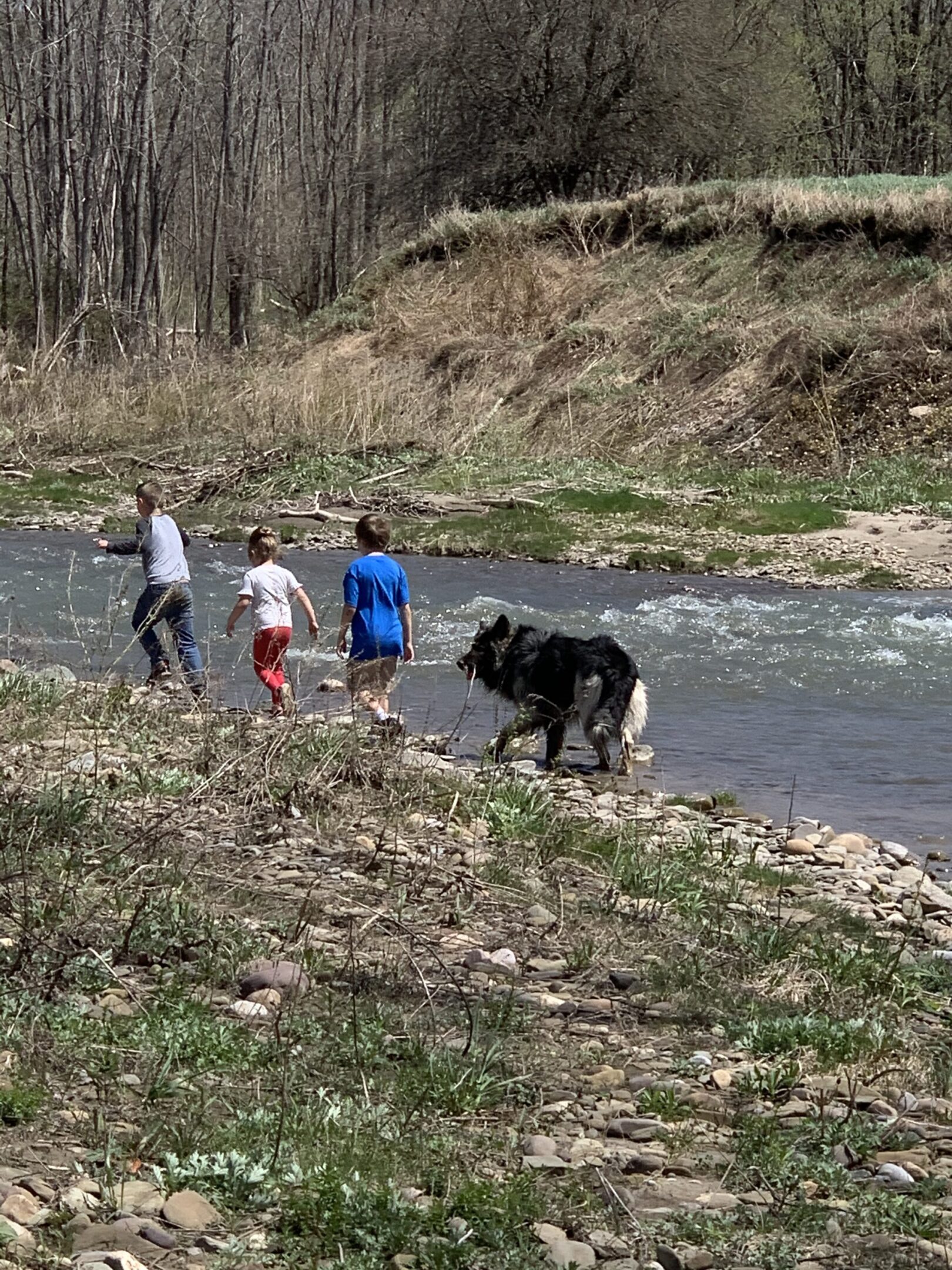 Three people and a dog walking along the river.