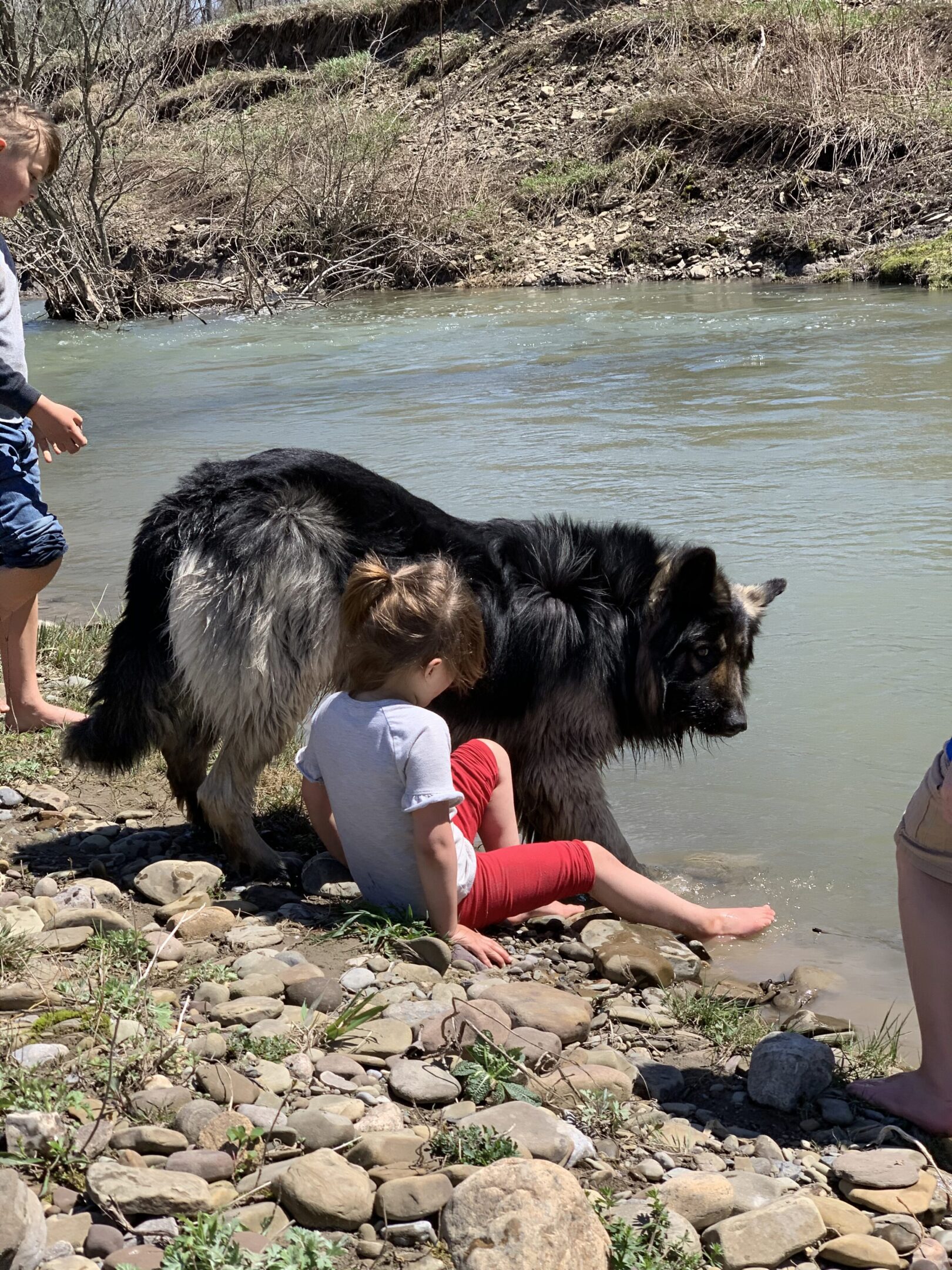 A dog and its owner near the water.