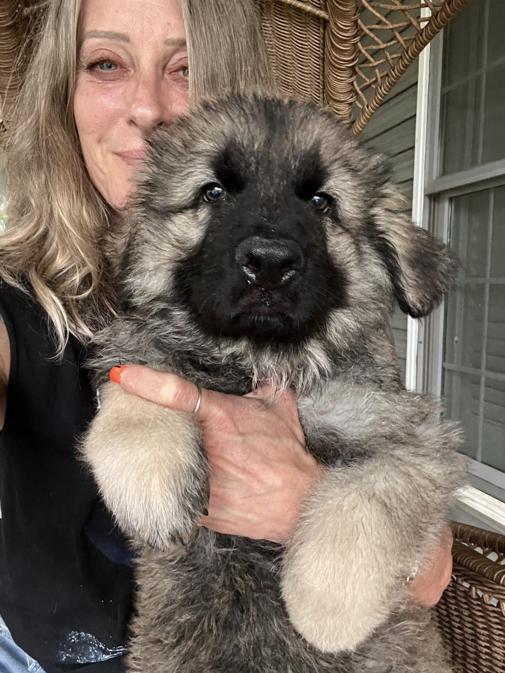 A woman holding a puppy in her arms.