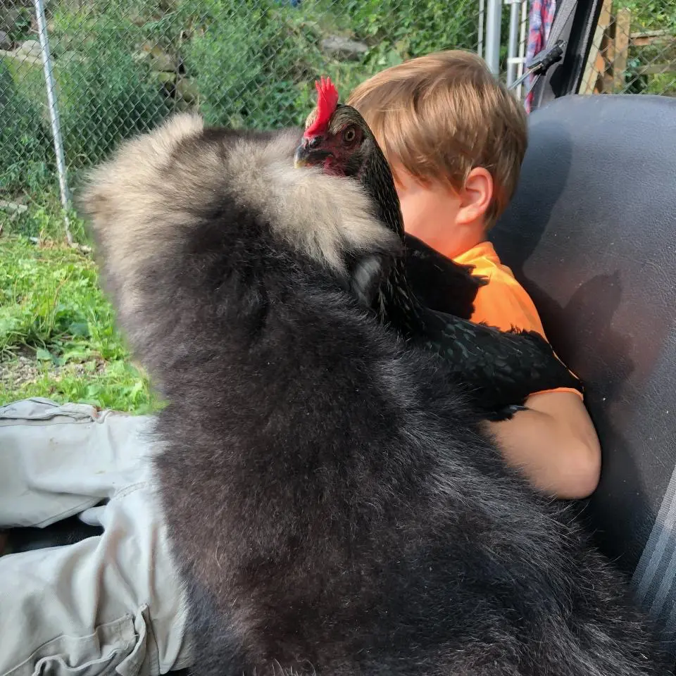 A boy is hugging a large animal.