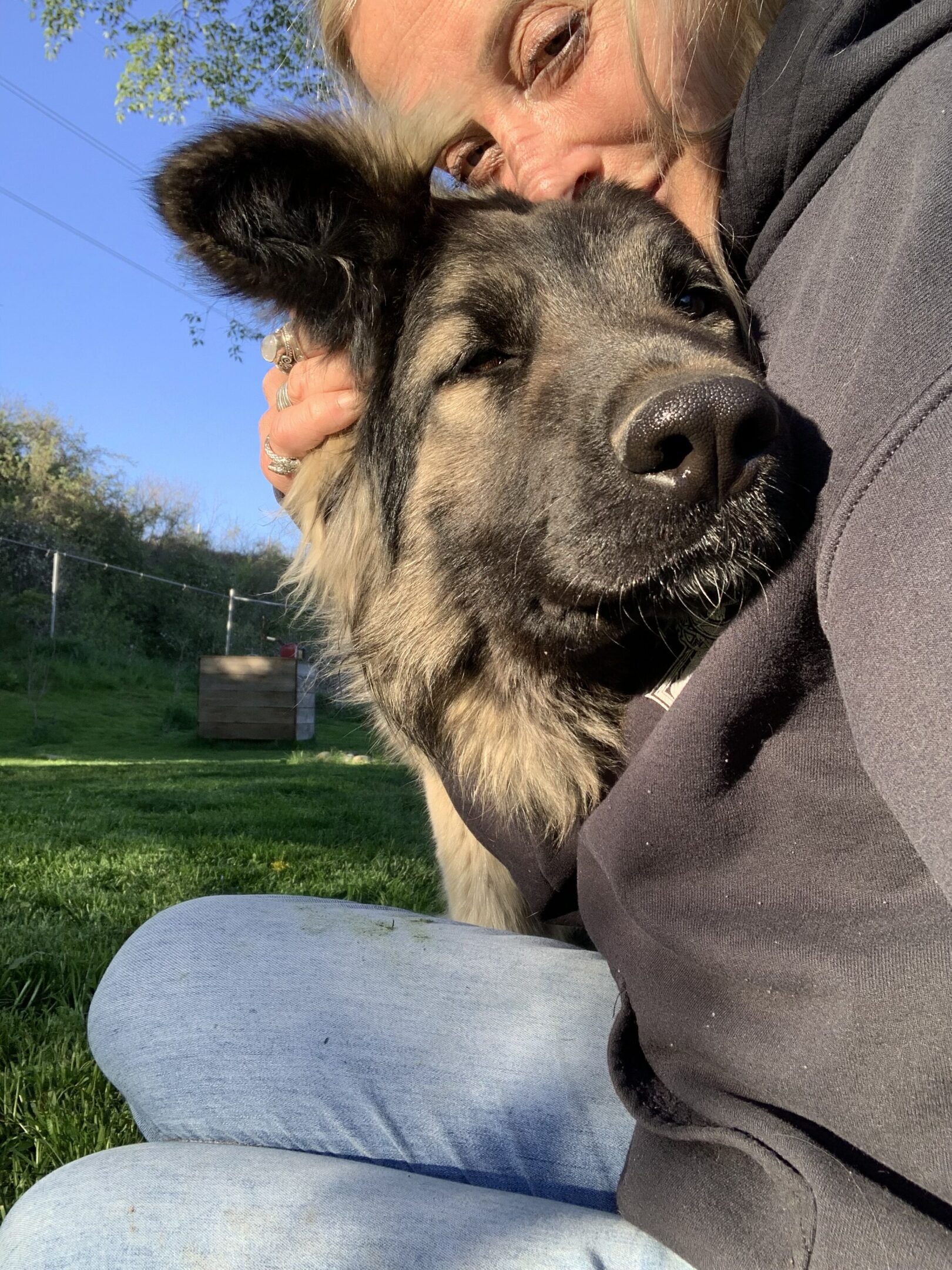 A close up of a dog 's face with its head held by someone